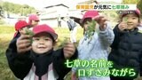 「セリ、ナズナ…」園児たちが笑顔で『七草摘み』 熊本・天草市 | 熊本のニュース|RKK NEWS|RKK熊本放送
