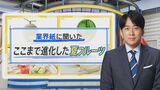 「タネを食べる」スイカに「新感覚」メロン…今、夏の新品種フルーツが激アツ【THE TIME,】 |TBS NEWS DIG