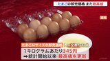 【速報】“物価の優等生”たまごの卸売価格がまた過去最高値を更新…鳥インフルエンザによる鶏などの殺処分は今シーズンすでに1600万羽以上…全採卵鶏の1割超|TBS NEWS DIG