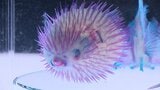 生き物の骨を染色した「透明標本」集めた展示会 15日から北九州市で開催 生命の神秘感じて | 福岡のニュース|RKB NEWS|RKB毎日放送