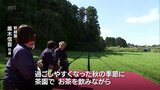 あたり一面の茶畑を眺めながら 心穏やかな時間を 新富町の茶園が茶室でお茶を楽しむイベントを開催|TBS NEWS DIG