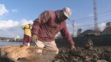 春の訪れを告げる伝統の漁にむけて シロウオの産卵場づくり 山口県萩市|TBS NEWS DIG