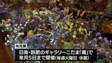布地を使って四季の花々を表現した「布花」の作品展 日南市で11月5日まで|TBS NEWS DIG