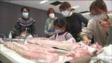 “サメ”「解体ショー」のあとは「はんぺん」づくり　宮城・気仙沼　|　宮城のニュース│tbc NEWS│tbc東北放送