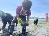 「コメ作りがこんなに大変だったなんて」酒造会社の田んぼで田植え体験 新潟・阿賀町|TBS NEWS DIG