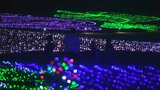 「きらめく光の語らい」まんのう公園を65万球のLEDで彩る“ウィンターファンタジー” 25日から【香川】|TBS NEWS DIG