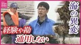 【カキの大量死】「漁場が疲れている」年間約2億円をかけ瀬戸内の海を救う！　データ養殖の確立とカキの通年提供を目指す　日本有数の産地・広島県呉市　|　RCC NEWS | 広島ニュース | RCC中国放送