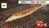 今年は安くて大きい!秋の味覚「サンマ」が豊漁 理由は「黒潮大蛇行の終息」か |TBS NEWS DIG
