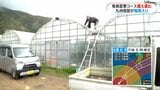 台風接近に鹿児島県内各地で備え パッションフルーツ農家やコメ農家も準備に追われる 知名町など計2470戸で停電も|TBS NEWS DIG