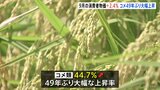 【速報】9月の消費者物価指数2.4%上昇…コメ類は44.7%上昇と49年ぶりの歴史的上昇率に|TBS NEWS DIG