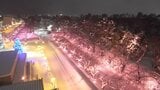 雪国ならでは「冬に咲くさくらライトアップ」 写真愛好家「荒れているときが一番いい」 | 青森のニュース│ATV NEWS│青森テレビ