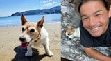 【 いぬ 】照英の愛犬パピコ「酷暑日が続いていて難しいですかね〜」　お昼寝で外遊びは思案中　先輩の愛犬テンはビーチの思い出|TBS NEWS DIG