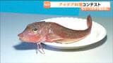 「魚の餌になるのがもったいない」高校生が石巻港のカナガシラで挑んだ「ご当地!絶品うまいもん甲子園」の勝負メニューとは? | 宮城のニュース│tbc NEWS│tbc東北放送