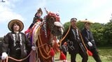 初夏の風物詩、チャグチャグ馬コ 6月14日開催が決まる 岩手|TBS NEWS DIG