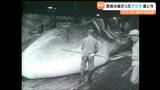 【昭和100年回顧】かつて庶民の味だった「クジラ」今も鯨食文化を支え続ける“捕鯨のまち”鮎川 | 宮城のニュース│tbc NEWS│tbc東北放送