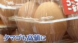 「高いね。高い」“物価の優等生”タマゴの価格が高止まり 生産者「やっと少し上がってくれた」との声も【岡山】|TBS NEWS DIG