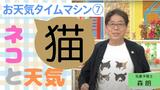 2月22日は「猫の日」。猫と天気の意外な関係【お天気タイムマシン】|TBS NEWS DIG