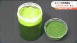 謎の「緑の粉末」がスーパーフード?タンパク質豊富といわれるその正体とは・・・ | 宮城のニュース│tbc NEWS│tbc東北放送