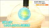 JR仙台駅で酒の醸造？「生クラフトサケ」24日から販売開始　そもそもクラフトサケとは|TBS NEWS DIG