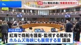 EU外相会合 ホルムズ海峡への艦船派遣に慎重な意見相次ぐ|TBS NEWS DIG