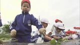 「でかく、おっきく育ってほしい」小学生がサツマイモの苗植え体験 福島・会津若松市 | 福島のニュース│TUF