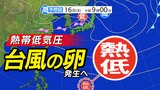 【台風情報】新たな「台風のたまご=熱帯低気圧」発生へ 日本付近は低気圧と前線が通過「雨はいつまで どこで降る?」【雨風シミュレーション15日(水)~24日(金)/ 全国各都市の週間予報】台風情報2025|TBS NEWS DIG