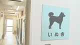保護犬・保護猫の譲渡促進へ…飼い主への飼育教育　ドッグランやガラス張りの展示室も　鳥取県西部犬猫センター「オーリブ」開設　|　BSSニュース | BSS山陰放送