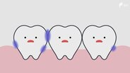 子どもの歯の「仕上げ磨き」何歳までするべき？歯科医師に聞いてみた 5歳以上の9割近くが過去に虫歯に...朝の歯磨きでタイミングよりも大切なこと　|　静岡のニュース | SBSNEWS | 静岡放送