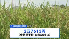 「相対取引価格」2024年産の6月の価格は玄米60キロあたり2万7613円　依然高値続く| TBS CROSS DIG with Bloomberg