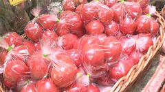 5月の野菜価格見通し 「レタス」「なす」「トマト」など11品目が平年並みの価格で推移 農水省| TBS CROSS DIG with Bloomberg