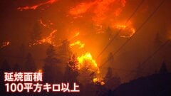 カナダ西部で相次ぐ山火事　半分近くが「制御不能な状態」で非常事態宣言発令　トランプ大統領「アメリカに有害な空気が流入」| TBS CROSS DIG with Bloomberg