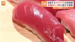 人気の「クロマグロ」 資源量回復で日本は漁獲枠の倍増を提案| TBS CROSS DIG with Bloomberg