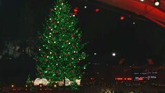 米・ホワイトハウス前の広場の巨大ツリーが点灯　バイデン大統領がカウントダウン| TBS CROSS DIG with Bloomberg