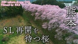 SL再開を待つ桜 熊本県人吉市【JNN sakuraドローンDIG】|TBS NEWS DIG