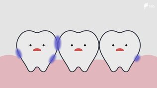 子どもの歯の「仕上げ磨き」何歳までするべき？歯科医師に聞いてみた 5歳以上の9割近くが過去に虫歯に...朝の歯磨きでタイミングよりも大切なこと　|　静岡のニュース | SBSNEWS | 静岡放送