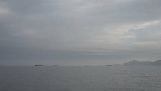 ホルムズ海峡　過去24時間で20隻以上の商船が通過　コンテナ船やタンカーも　WSJ報道| TBS CROSS DIG with Bloomberg