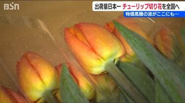 ここにも物価高騰の波「笑顔のために真心こめて育ててきた」出荷量日本