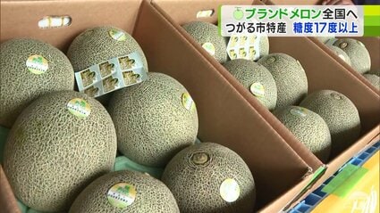 メロン 糖度17度以上！ブランド認定のプレミアムメロンが全国に出荷 青森