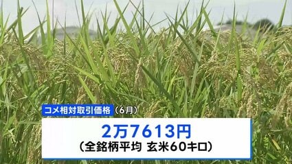 相対取引価格」2024年産の6月の価格は玄米60キロあたり2万7613円 依然