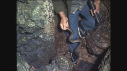 神の島」と呼ばれる久高島 12年に一度行われた祭祀「イザイホー」や