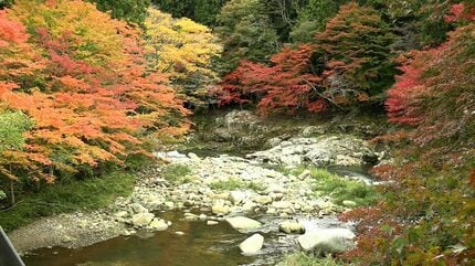 紅葉もみじ壺 lrg_11570778.jpg?updated_at=