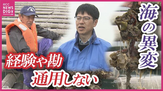 【カキの大量死】「漁場が疲れている」年間約2億円をかけ瀬戸内の海を救う！　データ養殖の確立とカキの通年提供を目指す　日本有数の産地・広島県呉市|TBS NEWS DIG