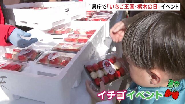 イチゴ狩り体験にイチゴを使った洋菓子販売 生産量日本一の栃木県庁で「いちご王国・栃木の日」イベント|TBS NEWS DIG