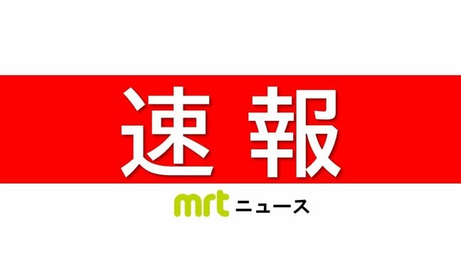 【速報】夏の甲子園　日南学園は宮崎県勢として令和初勝利|TBS NEWS DIG