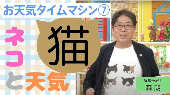 2月22日は「猫の日」。猫と天気の意外な関係【お天気タイムマシン】|TBS NEWS DIG