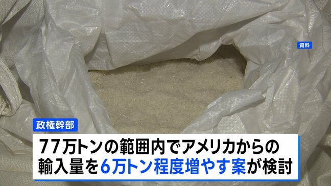 日米関税交渉　アメリカ産コメの輸入拡大を検討　無関税の枠内で6万トン程度増やす案が浮上|TBS NEWS DIG