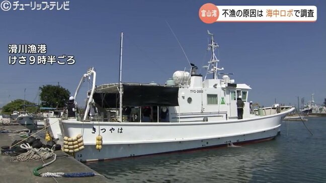 シロエビ、ベニズワイガニの不漁の原因に迫る！　富山湾海底に県内初の海中ロボットを潜入　結果は8月末に漁業団体に報告へ|TBS NEWS DIG