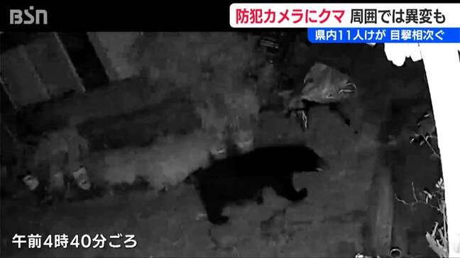 あいまいになるクマと人間の境界線　民家の防犯カメラにクマ「クマの姿を確認したのは初めて」　周辺でも“異変”　新潟県三条市|TBS NEWS DIG