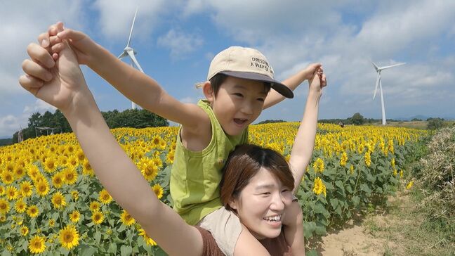 「最高だな」180万本のヒマワリ満開に 黄色いじゅうたん広がる 郡山市の布引高原 福島|TBS NEWS DIG