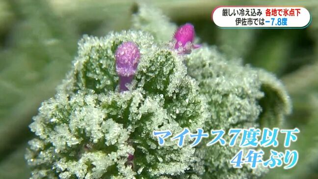 伊佐市でマイナス7.8度 鹿児島県内14か所で氷点下 小学生たらいの氷に興味津々 垂水市では「足湯」堪能|TBS NEWS DIG